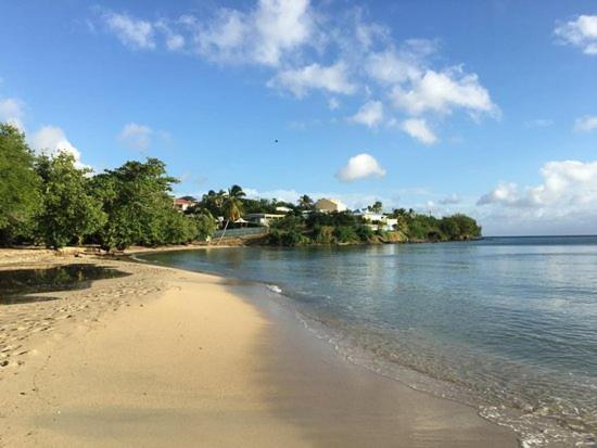 Nouveau Domaine De Mabouya Vue Mer Et Proximite Plage Sainte-Luce Kültér fotó